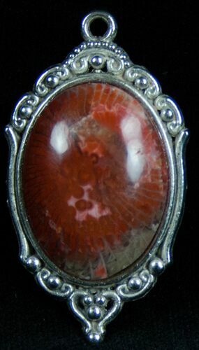 Fossil Red Horn Coral Pendant - Utah #7112